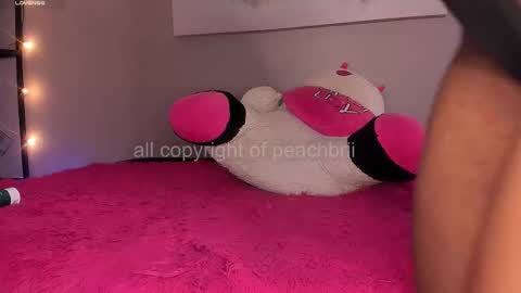 Snapshot of peachbrii chatting on 11.14.25 Briana online show from 11.14.25