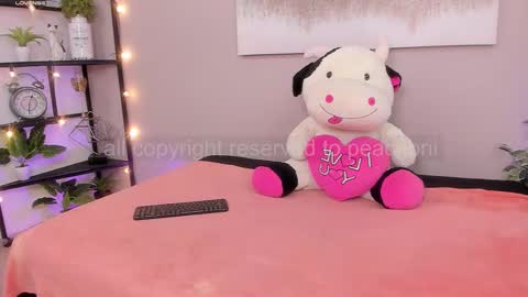 Snapshot of peachbrii chatting on 11.28.25 Briana online show from 11.28.25