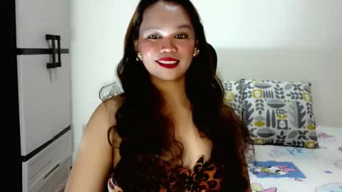 pegaus280 online show from 05.11.26