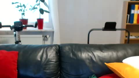NordicBullForMilking online show from 06.04.26