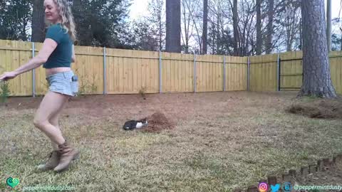 Peppermint and Dusty  online show from 03.03.26