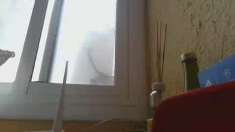 Snapshot of perales_12345 chatting on 06.14.26 perales_12345 online show from 06.14.26