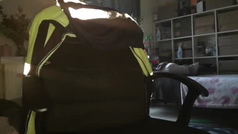 peregrintpelfox online show from 12.16.25