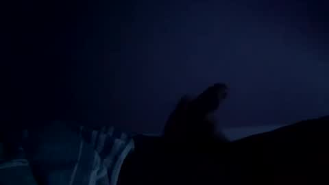 perfect427482577143 online show from 02.26.26