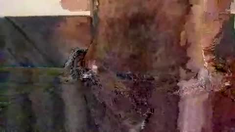 perfectFTM online show from 11.12.25