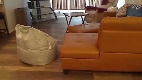 Snapshot of perfecto1957 chatting on 01.05.25 perfecto1957 online show from 01.05.25