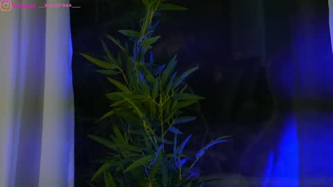 Dee online show from 01.25.25