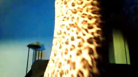 permageil_nackt_alt online show from 02.26.26