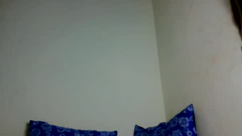Snapshot of perversah chatting on 06.11.26 Perversah online show from 06.11.26