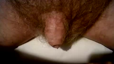 peterpeteropoulos online show from 03.08.25