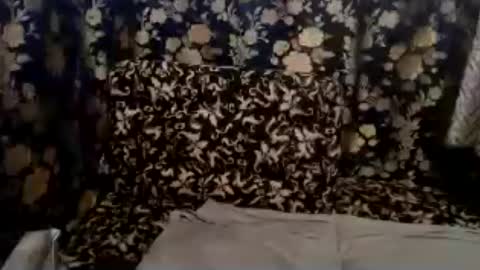 cute vir online show from 07.13.26