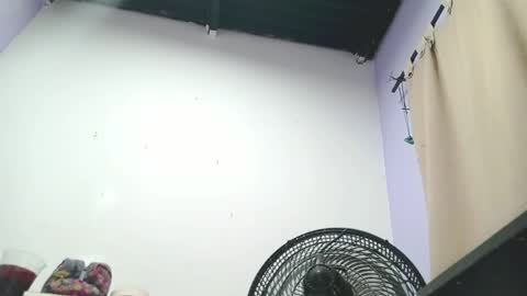 danna online show from 01.13.25