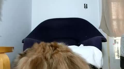 Snapshot of phattbooty80 chatting on 12.09.24 TheSkyeWoods online show from 12.09.24