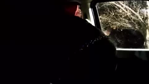 Snapshot of phillipdee chatting on 02.01.26 phillipdee online show from 02.01.26