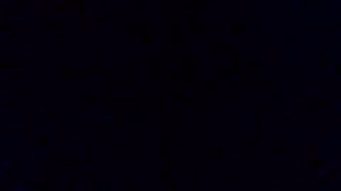 pickledalivemrf online show from 02.19.26