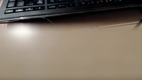 pier49x online show from 12.03.24