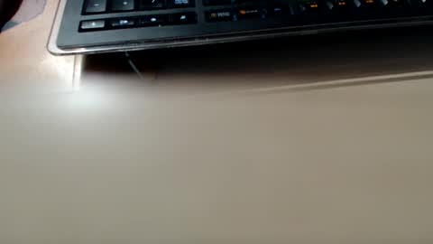 pier49x online show from 12.04.24