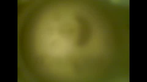 Snapshot of pierrecard1 chatting on 10.13.25 pierrecard1 online show from 10.13.25