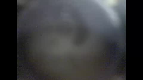 Snapshot of pierrecard1 chatting on 01.12.26 pierrecard1 online show from 01.12.26