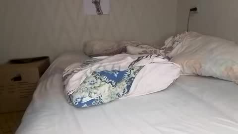 Pikachu pika online show from 12.15.24