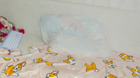 Pikachu pika online show from 02.27.25