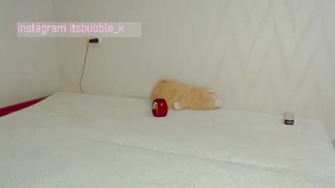 Pikachu pika online show from 03.04.25