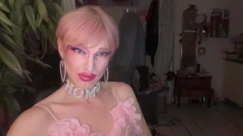 pinkfag online show from 02.19.26