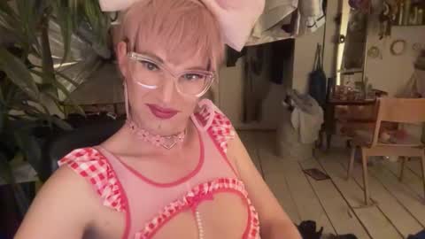 pinkfag online show from 04.08.26