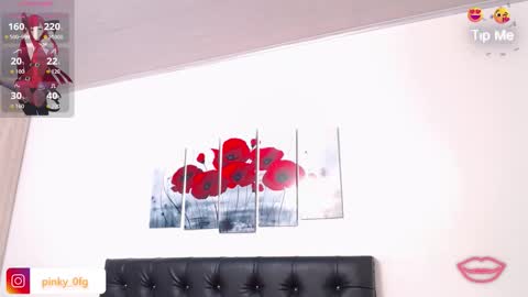 Snapshot of pinky_f00x chatting on 11.04.25 pinky_f00x online show from 11.04.25