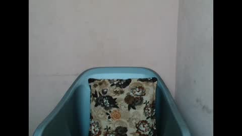 Snapshot of pinkyxxpussy chatting on 02.08.26 pinkyxxpussy online show from 02.08.26