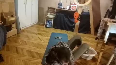 Snapshot of pisces922 chatting on 12.20.25 Dominik online show from 12.20.25