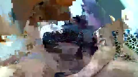 pislezg1 online show from 02.07.25