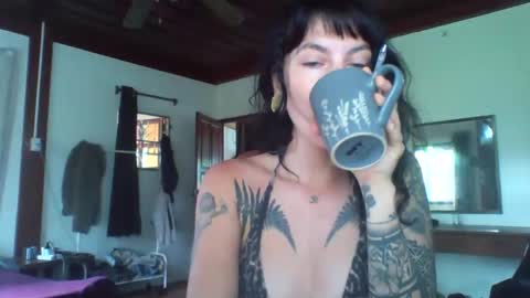 pixiecatfairy online show from 11.13.25