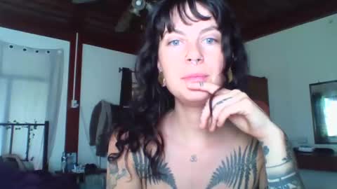 pixiecatfairy online show from 11.16.25