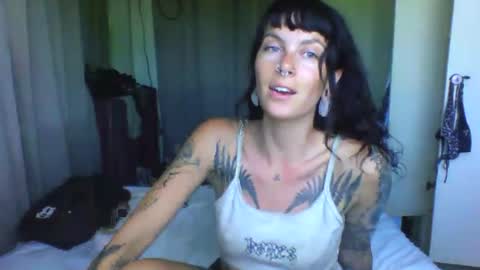 pixiecatfairy online show from 03.24.26