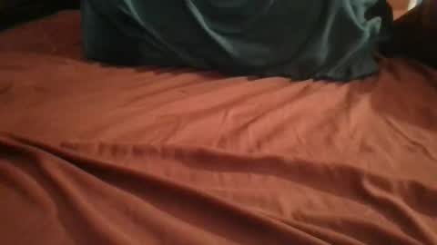 Snapshot of plague_cockter chatting on 02.24.26 Plague Cockter online show from 02.24.26