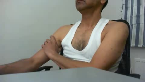 platino3026 online show from 04.08.26