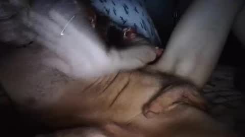 playdaddy756210 online show from 03.12.26