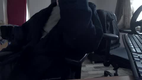 Hello ask me  . Im glad  to see you here in my room. Welcome PVT is open online show from 11.30.25