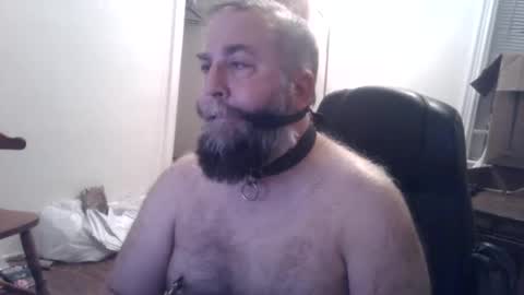 pleasurepuppt online show from 12.03.24