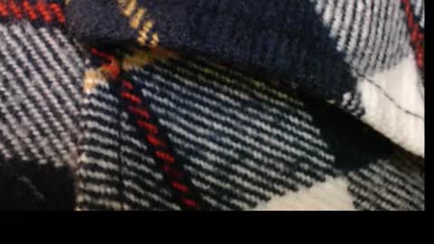 pllkgh45ymn online show from 09.10.25