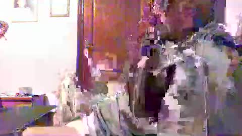 Snapshot of plu07f3520 chatting on 04.09.26 plu07f3520 online show from 04.09.26