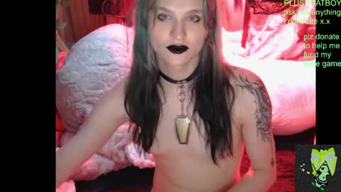 Snapshot of plushcatboy chatting on 04.21.26 plushcatboy online show from 04.21.26