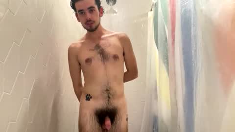 Pluto The Pup online show from 11.18.25