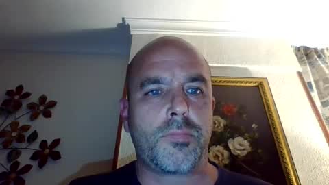 pocoyotop online show from 12.29.24