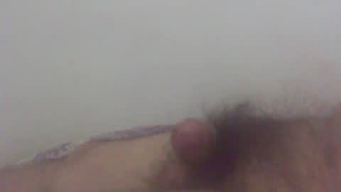 pol2023 online show from 03.04.25