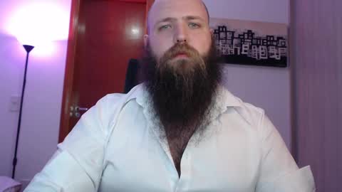 Bear online show from 03.04.25