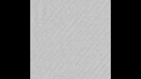 Polly online show from 02.04.26