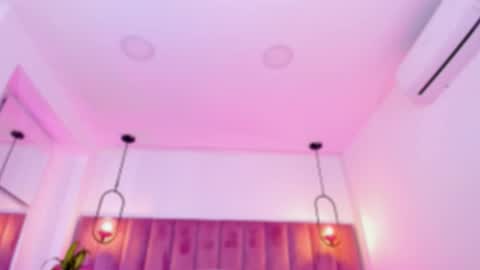 POLLY online show from 02.26.26