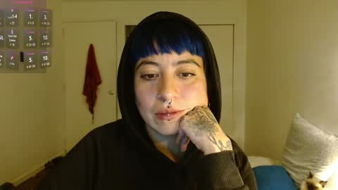 Poly online show from 02.16.26